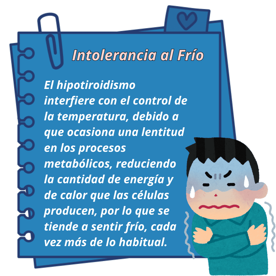 Síntomas del hipotiroidismo