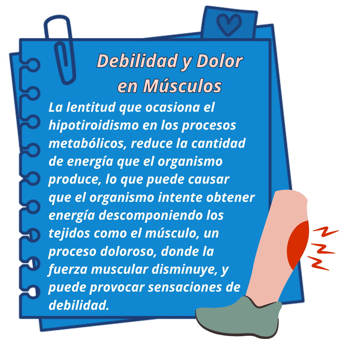 Síntomas del hipotiroidismo